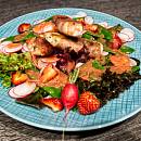 Puten-Saltimbocca auf Radieschen-Salat mit Erdbeerdressing