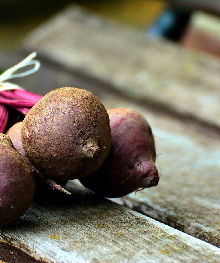 Rote Bete