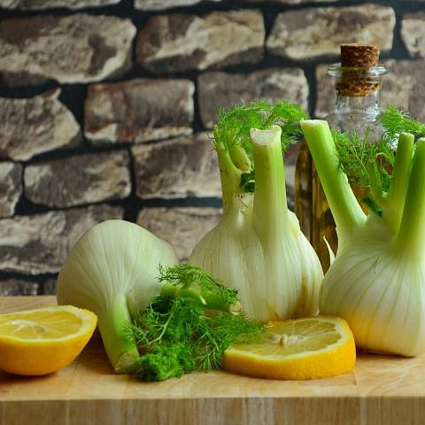 Fenchel