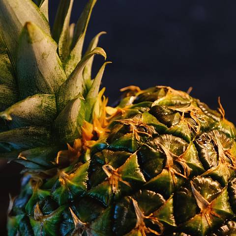 Ananas