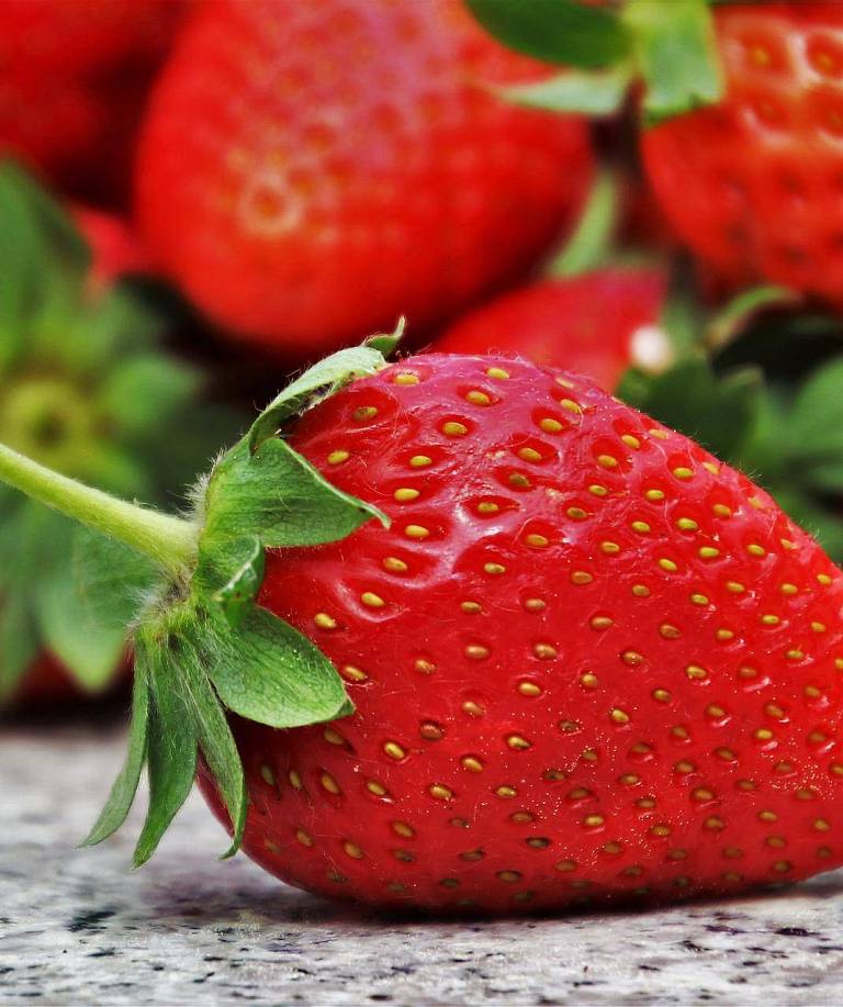 Erdbeeren