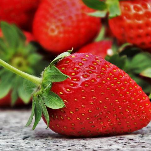 Erdbeeren