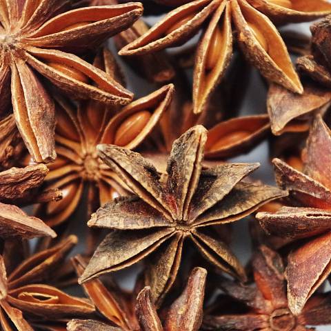 Sternanis