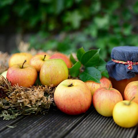 Äpfel