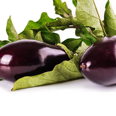 Auberginen