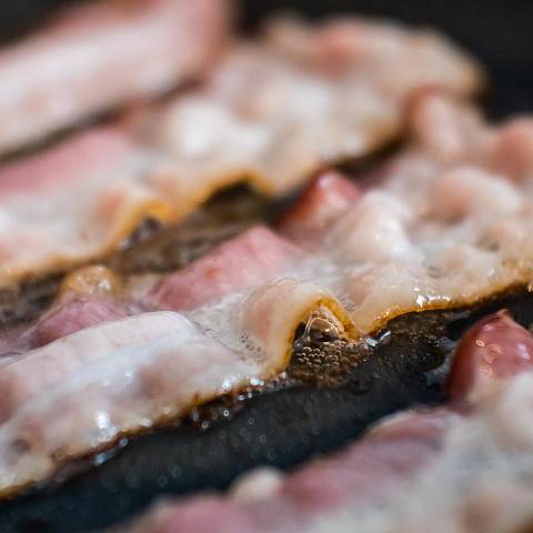 Speck