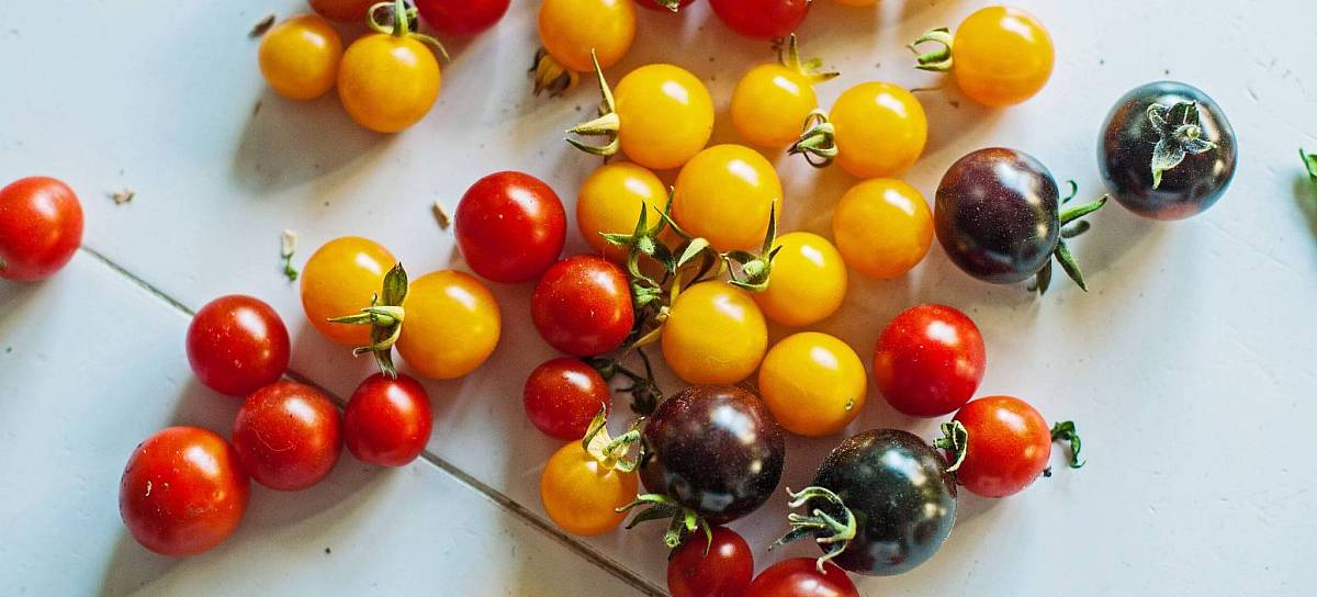 Rote, gelbe und schwarze Cherry-Tomaten