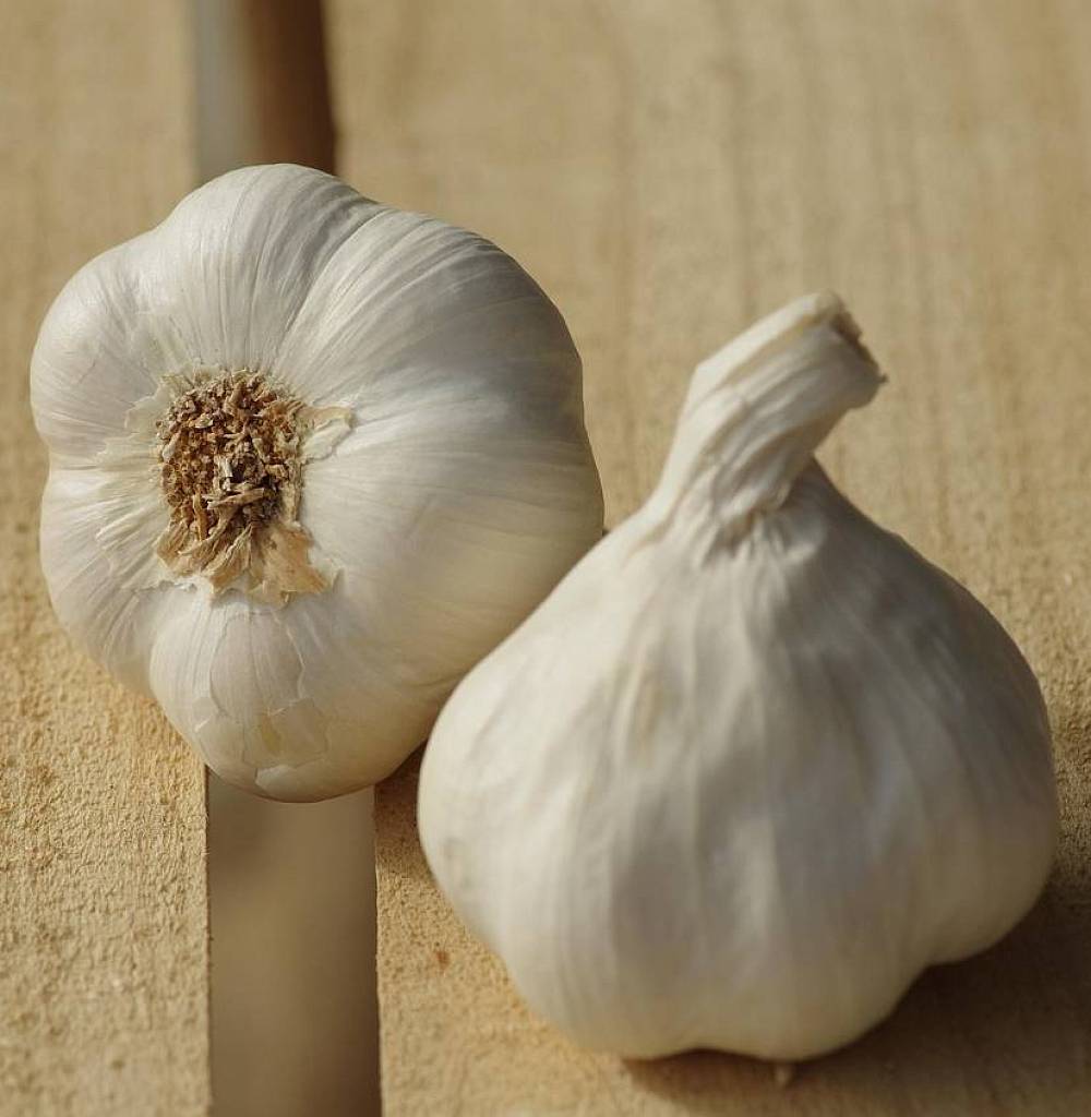 Zwei Knoblauchzehen aus verschiedenen Perspektiven