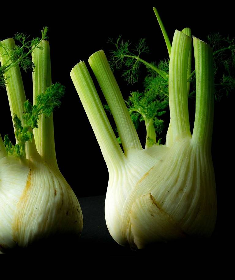 Welches Fleisch passt eigentlich zu Fenchel?