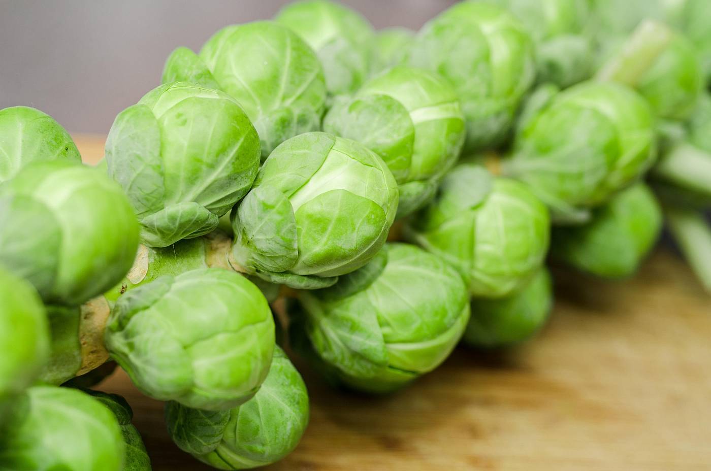 Viele kleine Rosenkohlköpchen am Stunk.