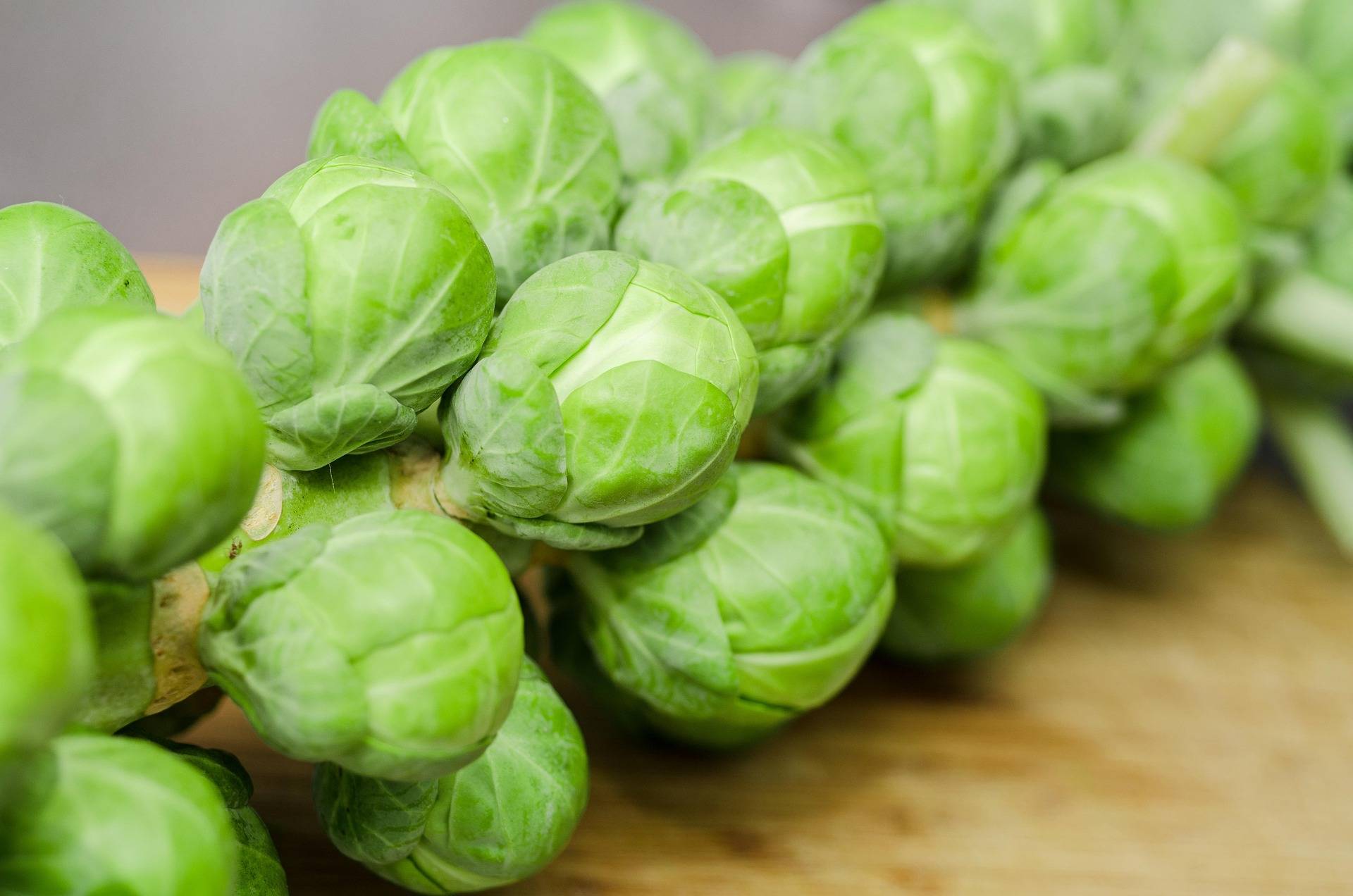 Rosenkohl, Radicchio und Co. verdienen echte Liebe